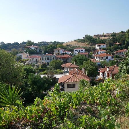Вилла Casa Di Grigoris Никити Экстерьер фото