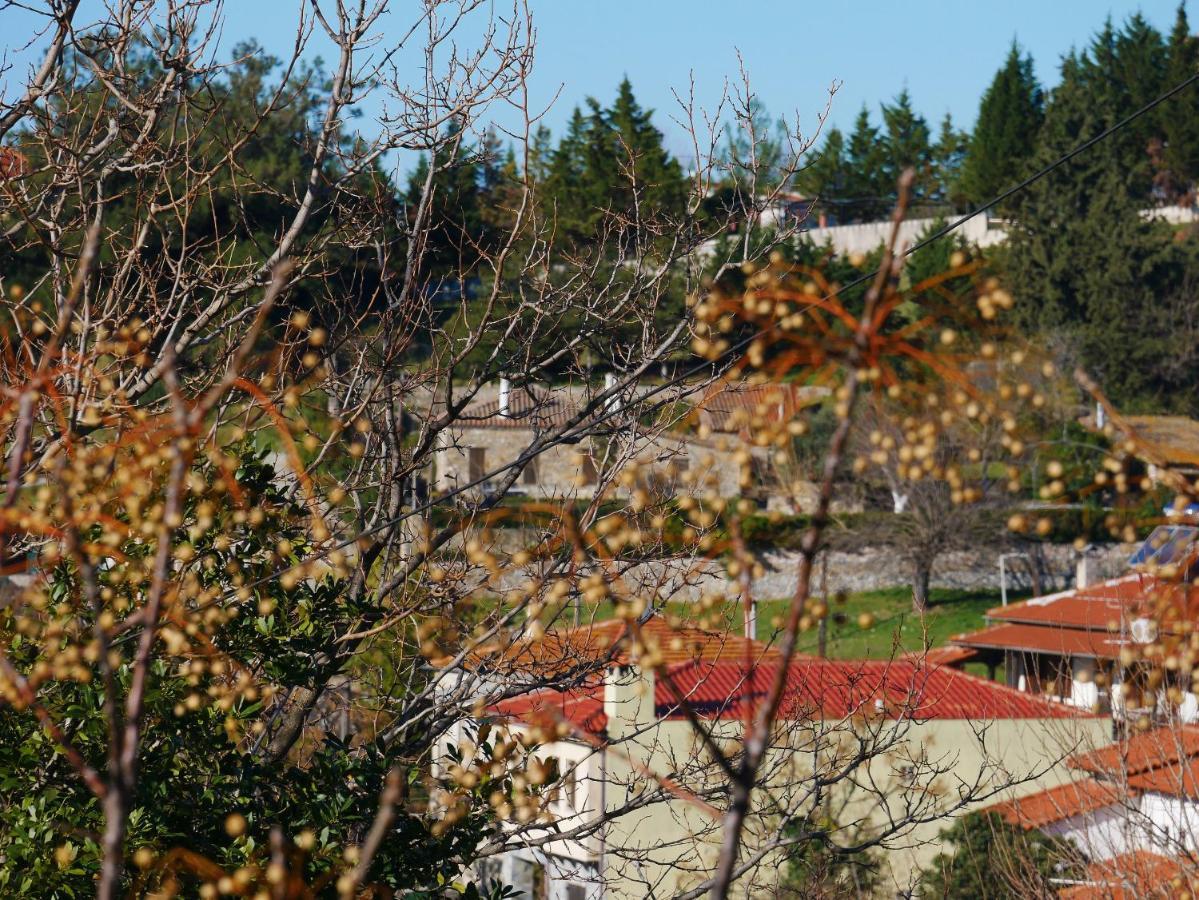 Вилла Casa Di Grigoris Никити Экстерьер фото